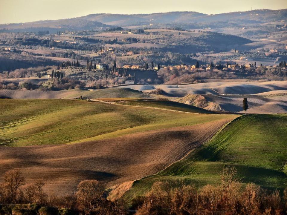 Podere Il Granaio - Crete Senesi - Tuscany Сиена Екстериор снимка