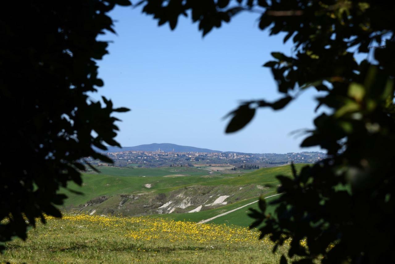 Podere Il Granaio - Crete Senesi - Tuscany Сиена Екстериор снимка